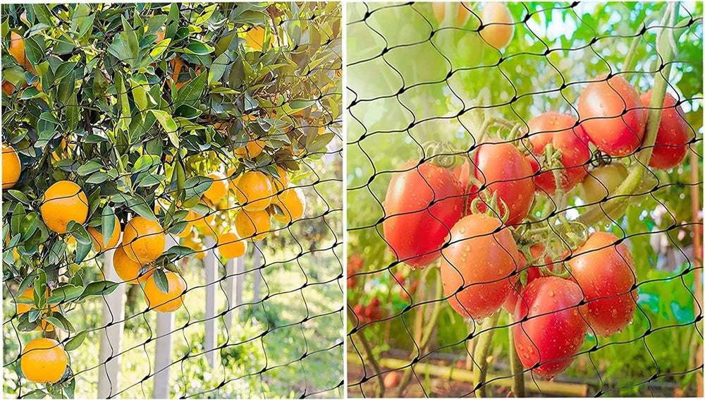 CandyHome Bird Netting installation process