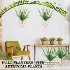 Canlierr wall planter in a modern living room setting