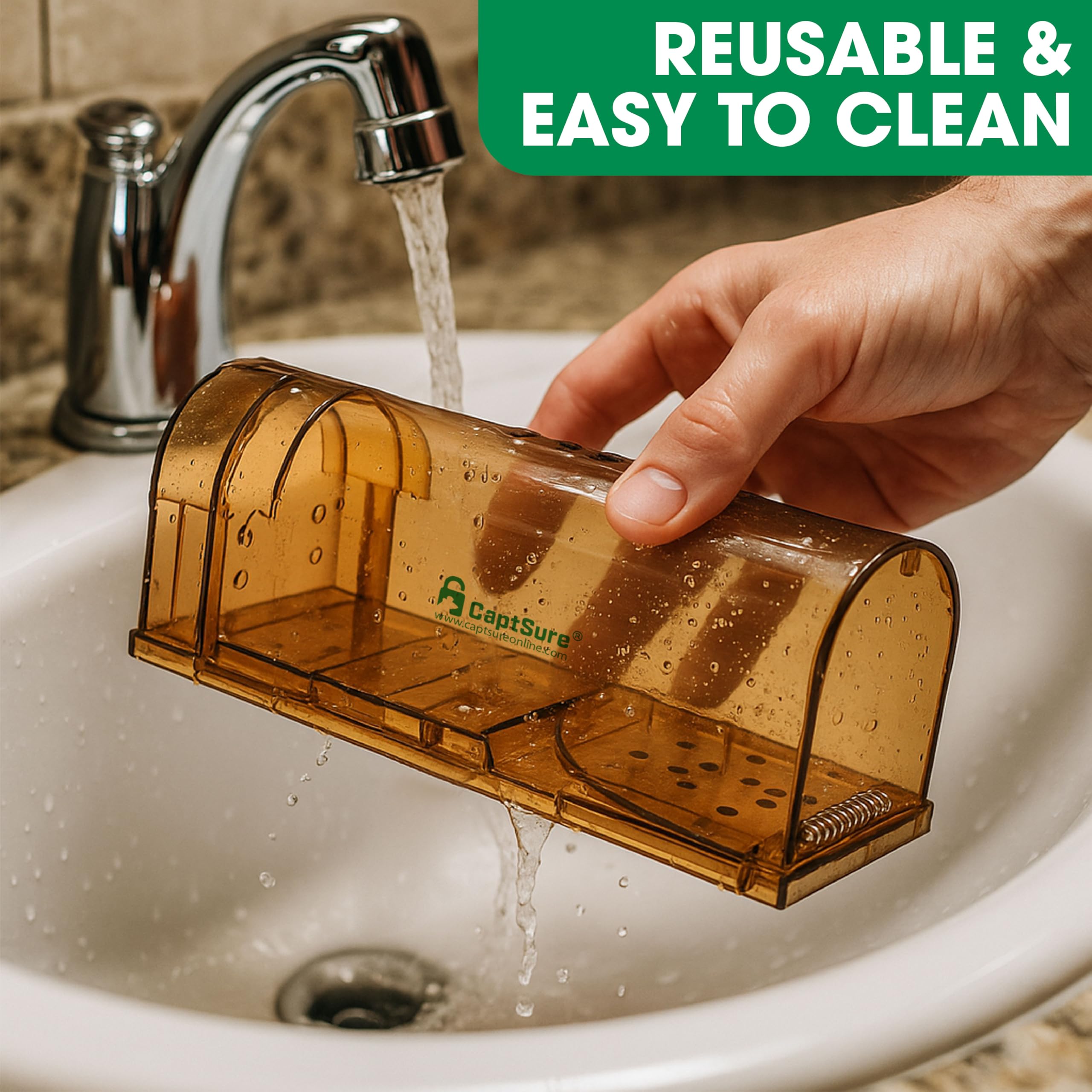 CaptSure humane trap with mouse inside for safe release