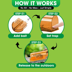 CaptSure mouse traps in packaging with product details