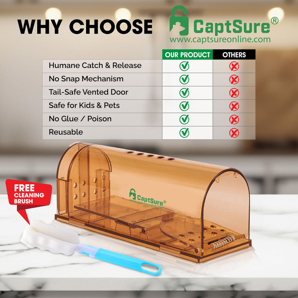 CaptSure trap dimensions on a measuring tape for size reference