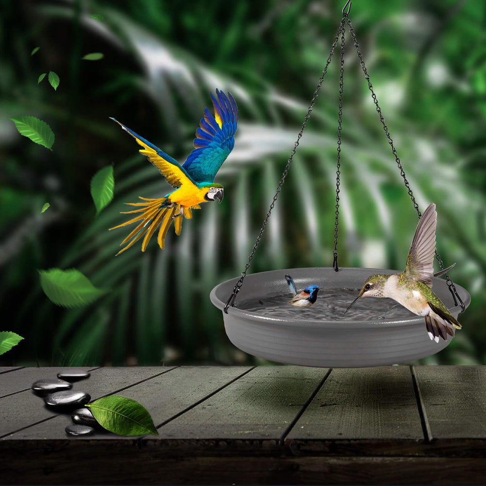 CARGEN Hanging Bird Bath Bowl dimensions displayed