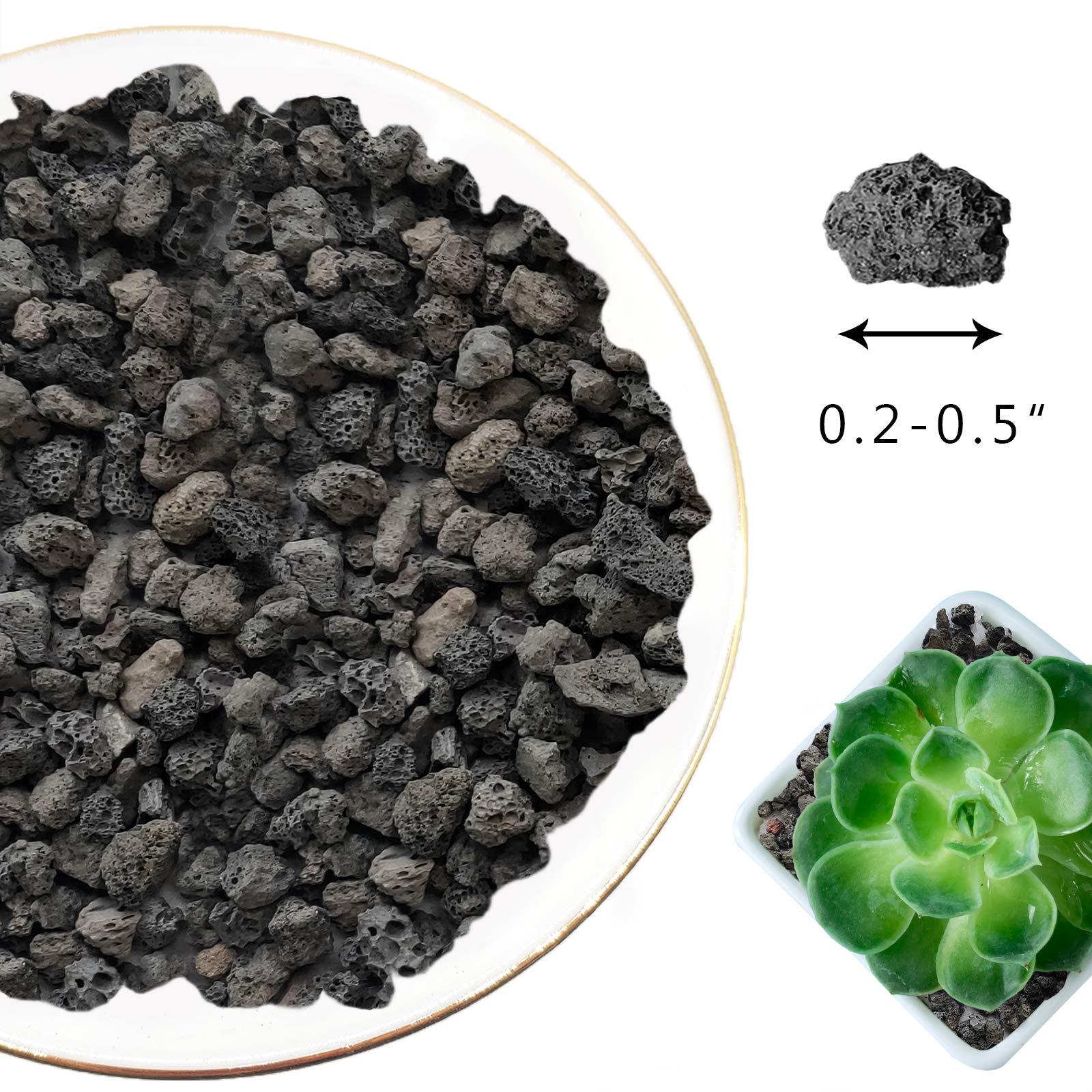 CARURBODY Black Lava Rocks in a gardening setup