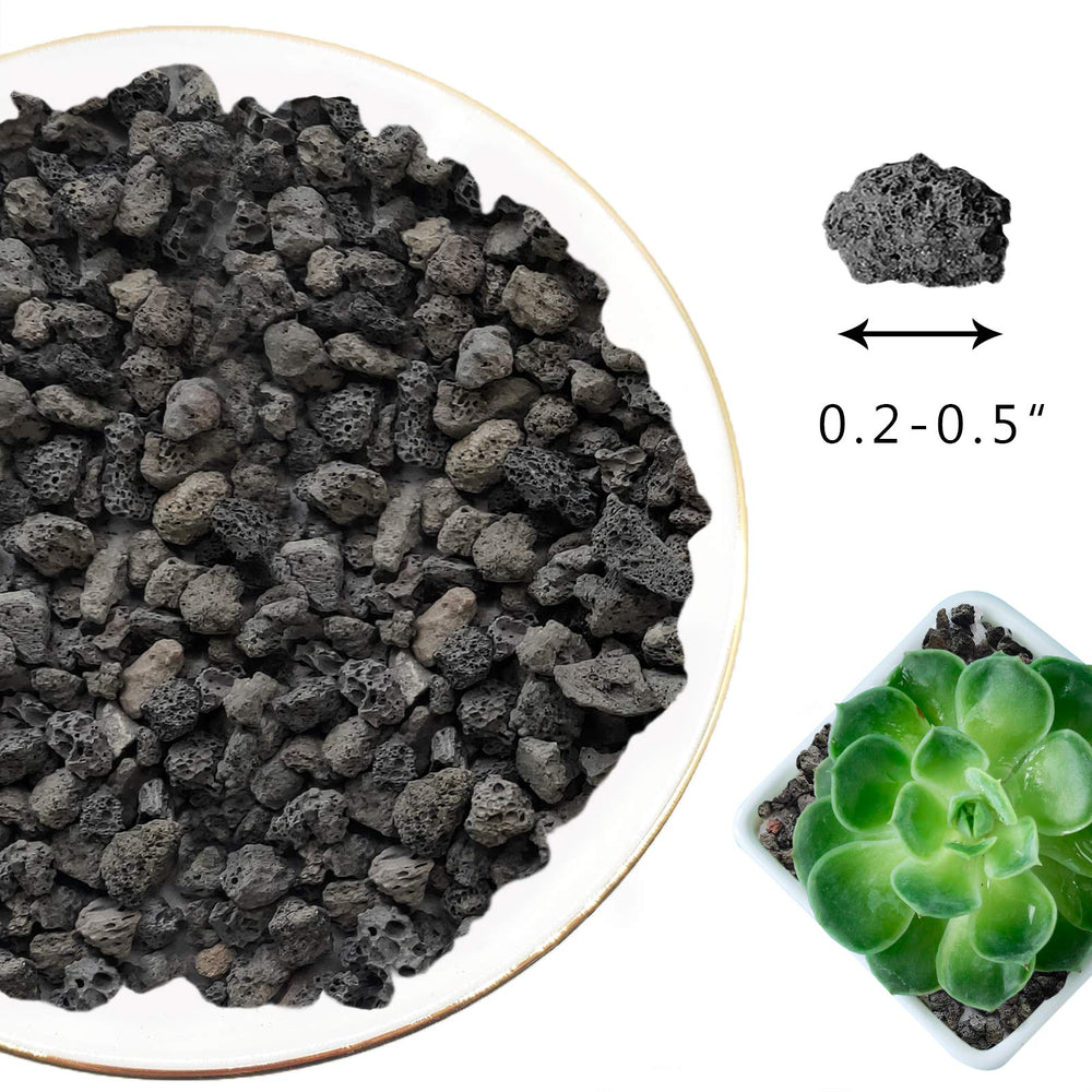 CARURBODY Black Lava Rocks in a gardening setup