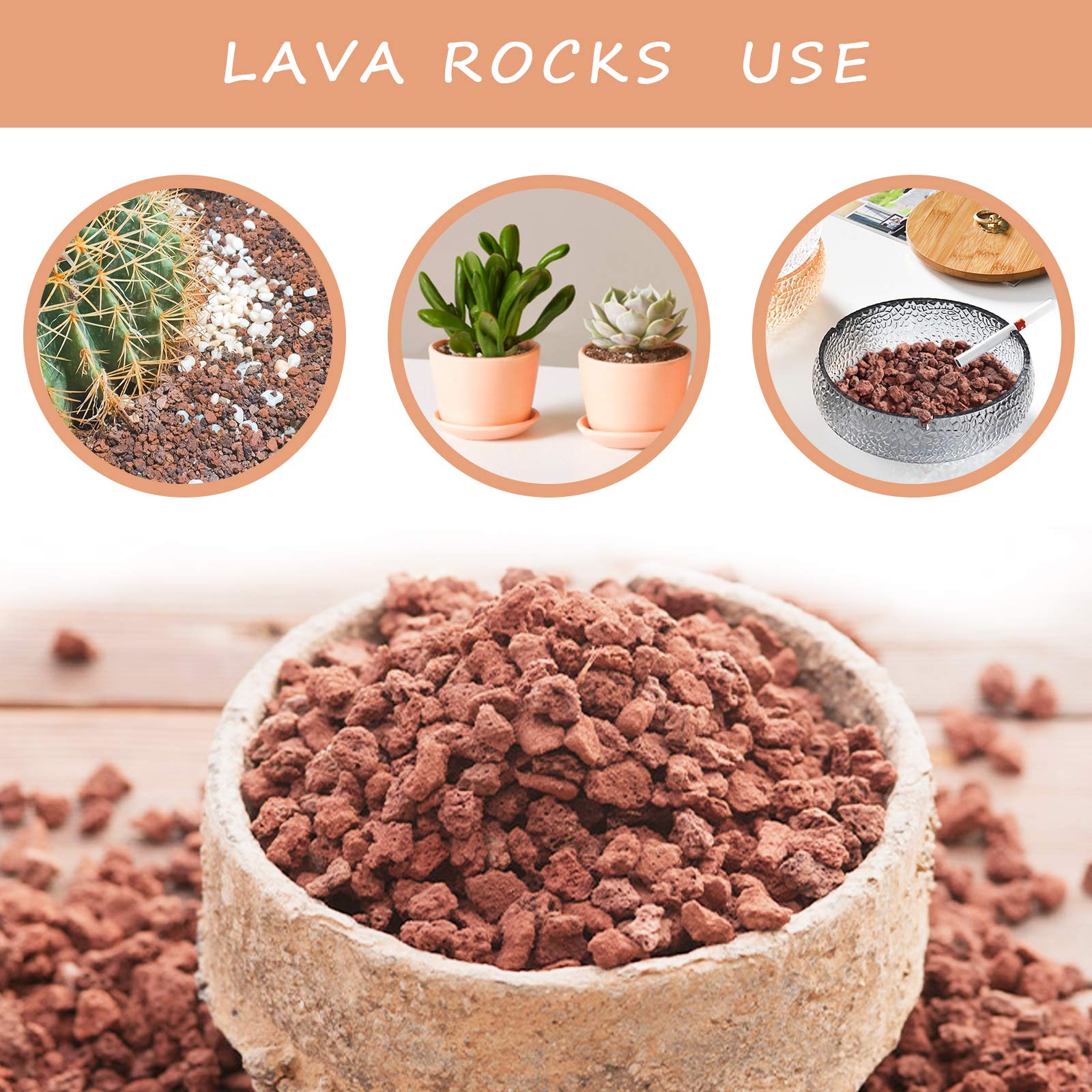 CARURBODY Red Lava Rocks layered in a bonsai planter