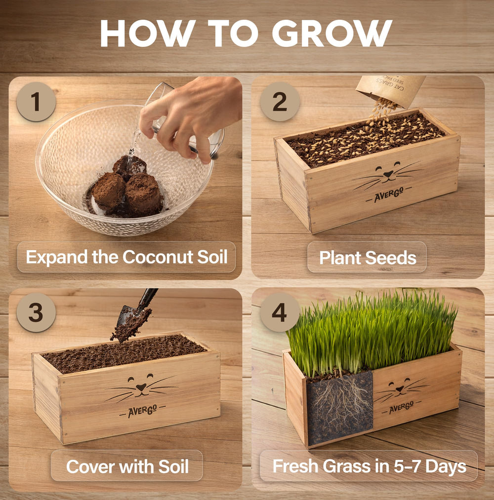Cat grass seeds packets included in AVERGO kit