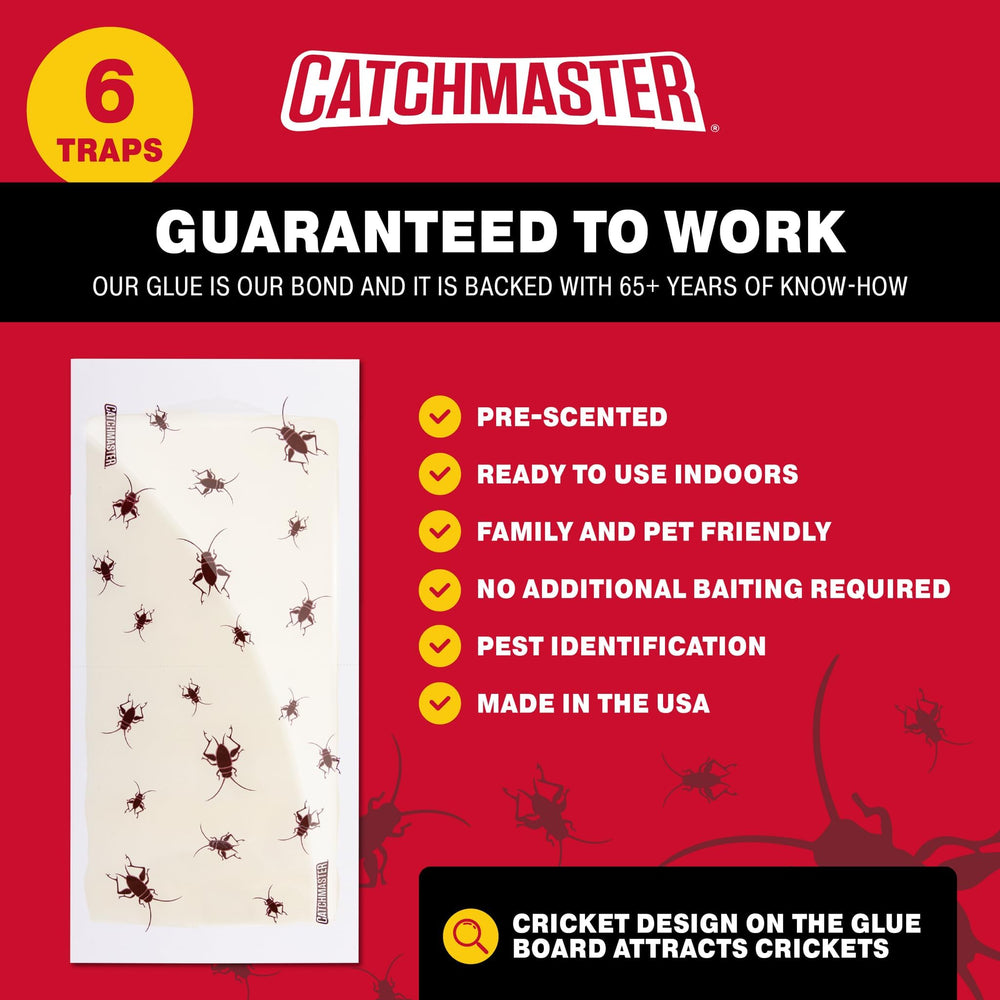 Catchmaster Cricket XL Glue Trap placed in corner