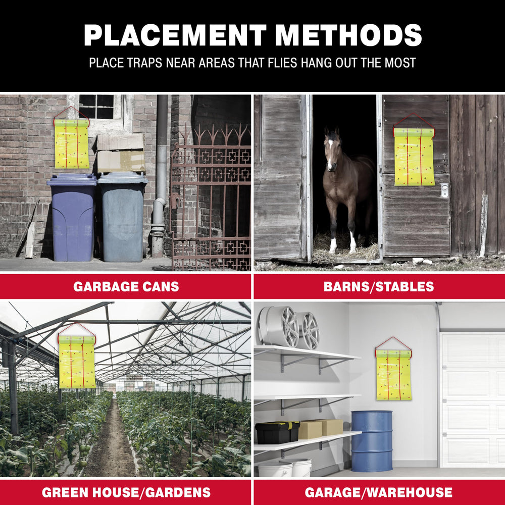 Catchmaster Giant Fly Glue Trap packaging details and dimensions