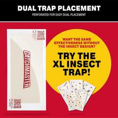 Catchmaster glue board showing adhesive surface for insect trapping
