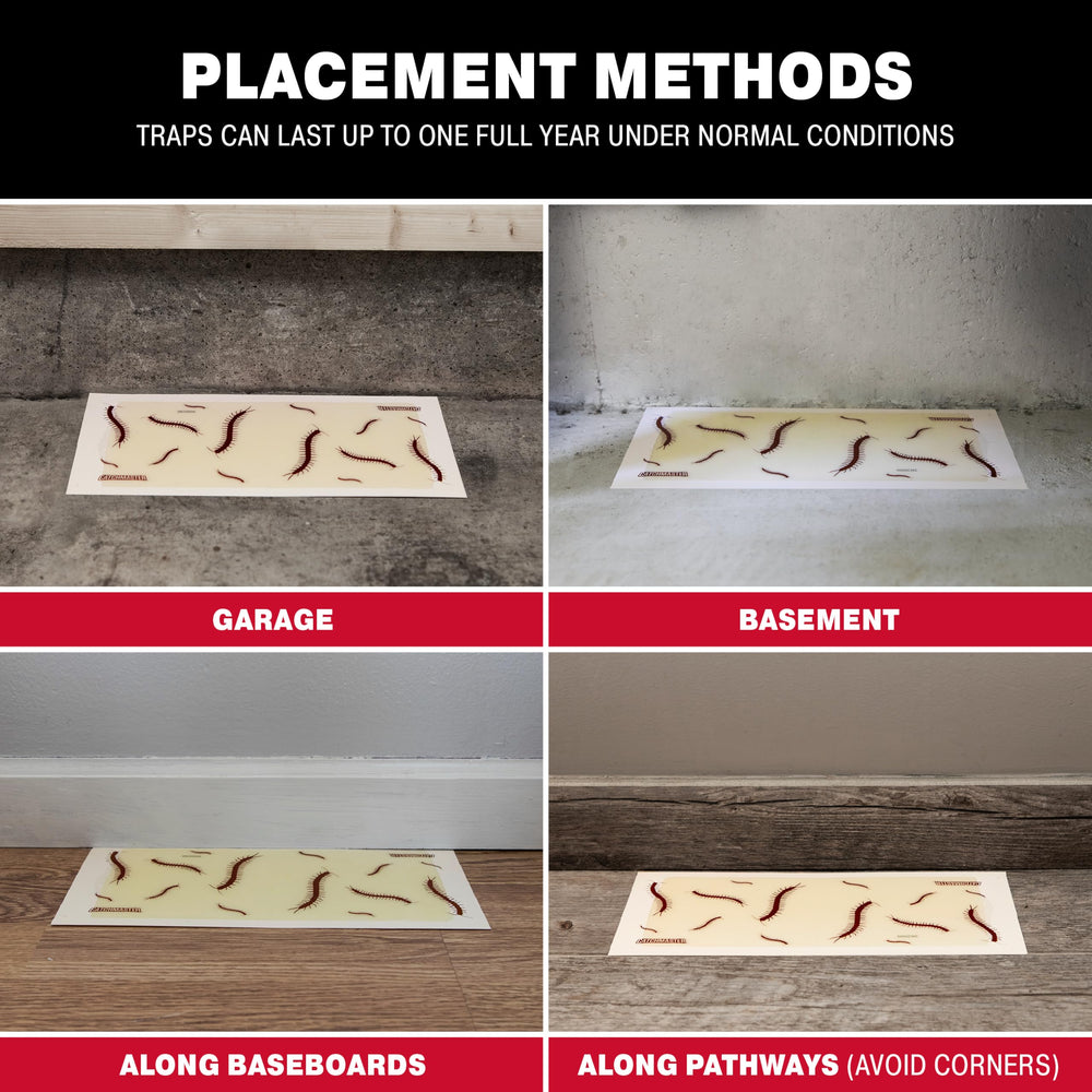Catchmaster glue trap displaying pest-catching effectiveness