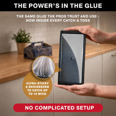 Catchmaster Glue Trap in use in a home setting