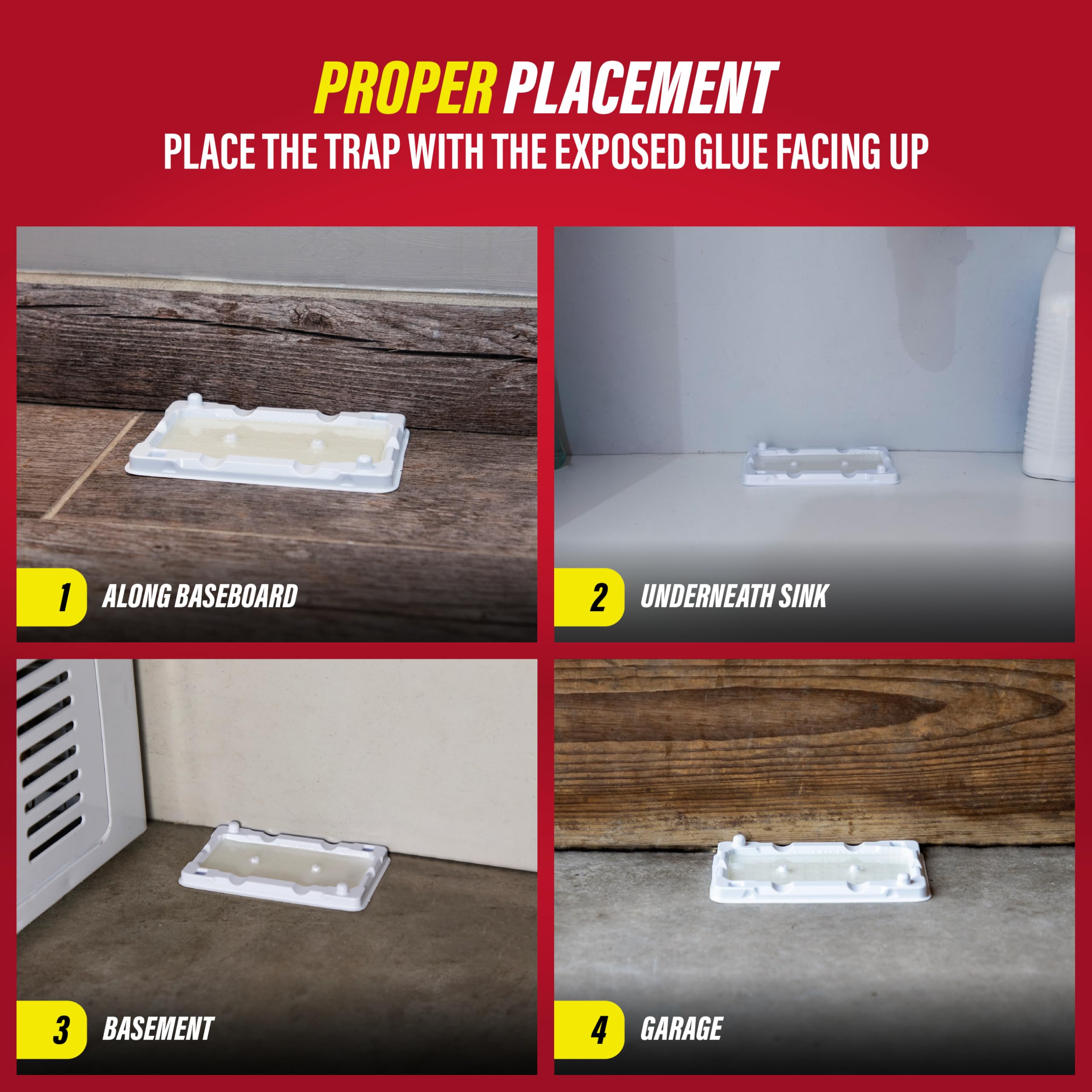 Catchmaster Glue Trap in use indoors near wall
