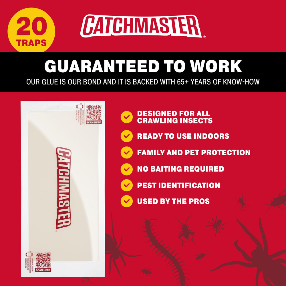 Catchmaster glue trap showing adhesive surface