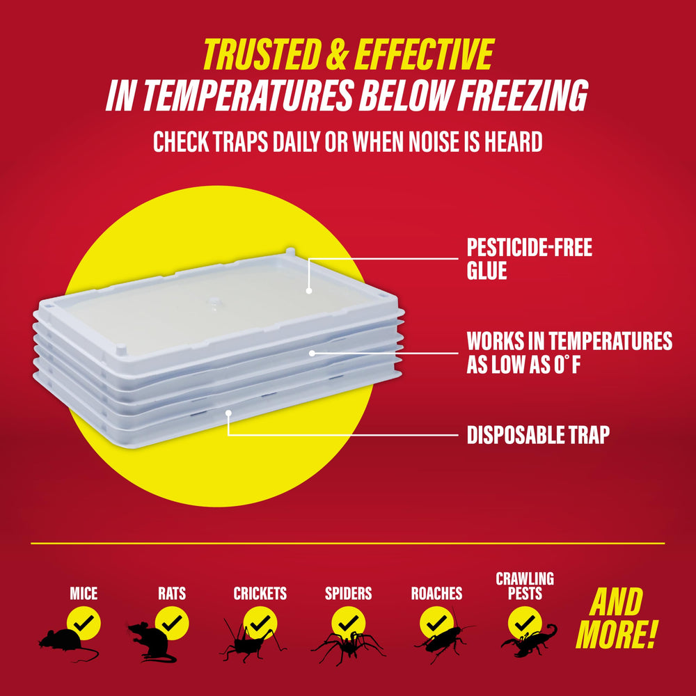 Catchmaster Glue Trap showing dimensions