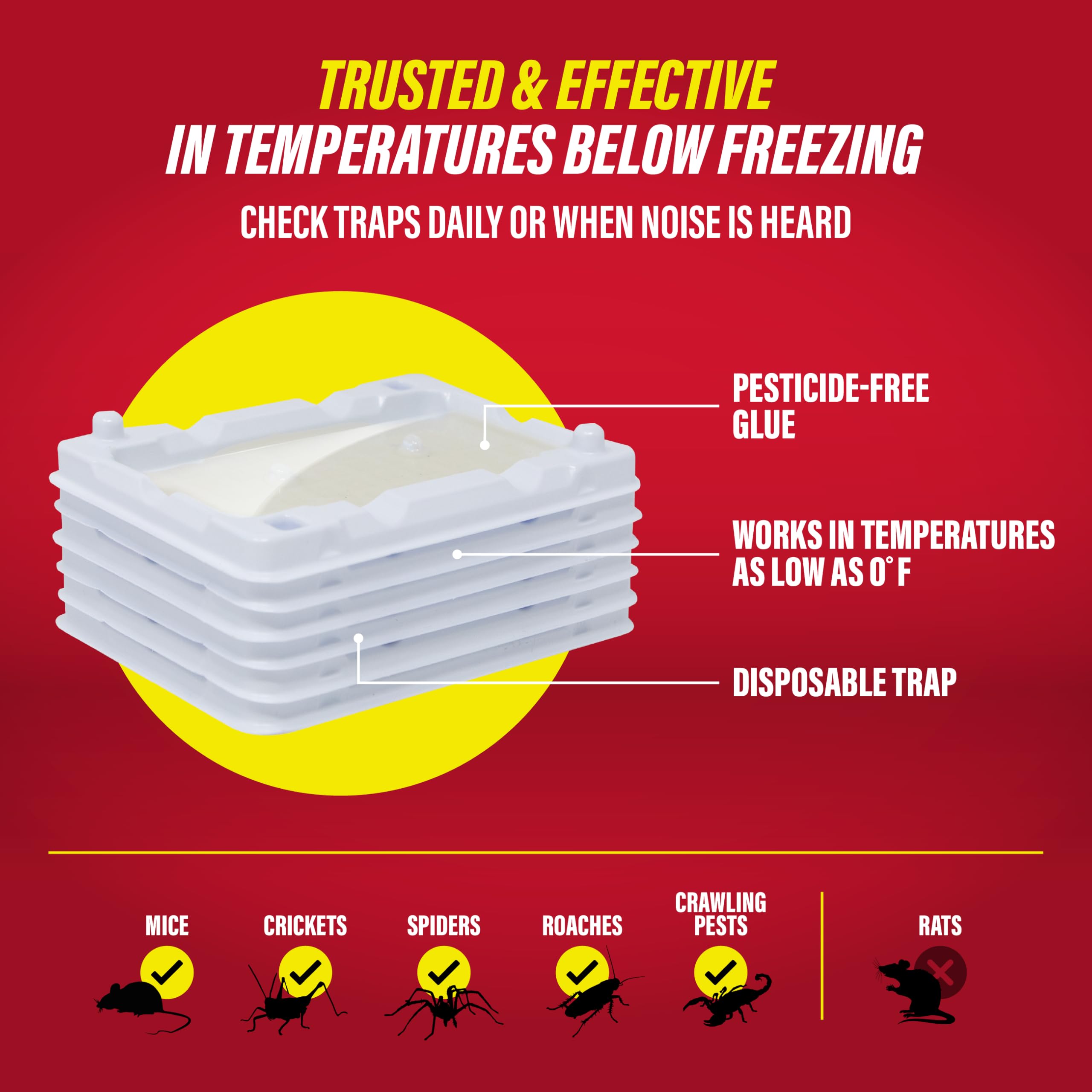Catchmaster Glue Trap showing durability in winter conditions