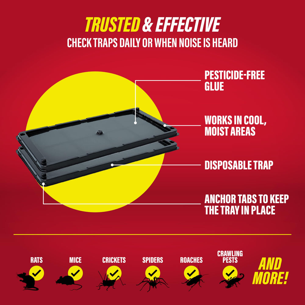 Catchmaster glue trap showing effectiveness against pests