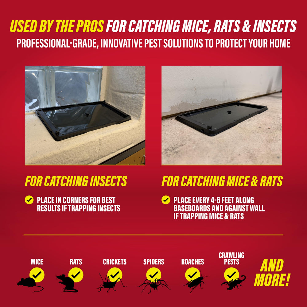 Catchmaster glue traps in use outdoors