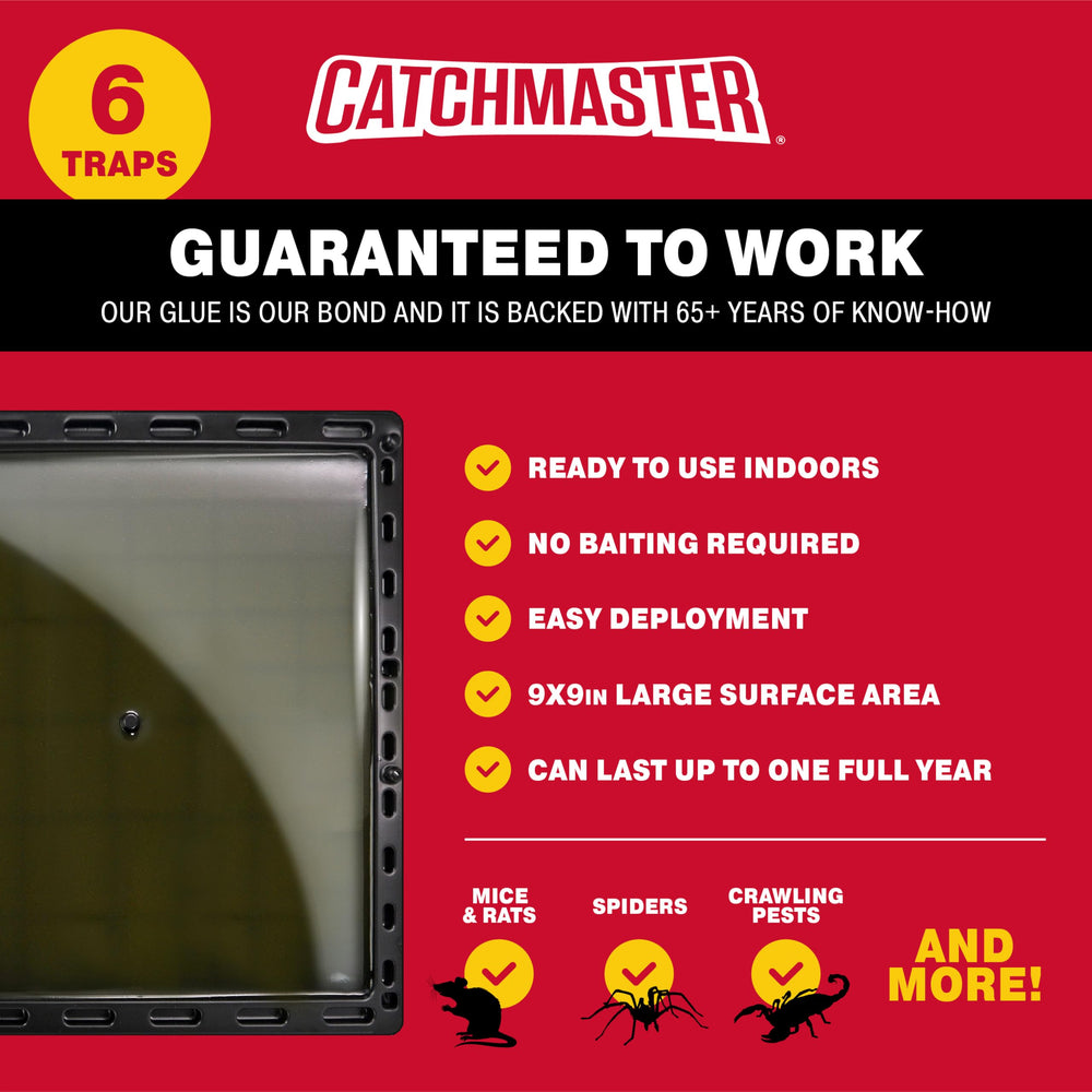Catchmaster Jumbo Glue Trap positioned against a wall