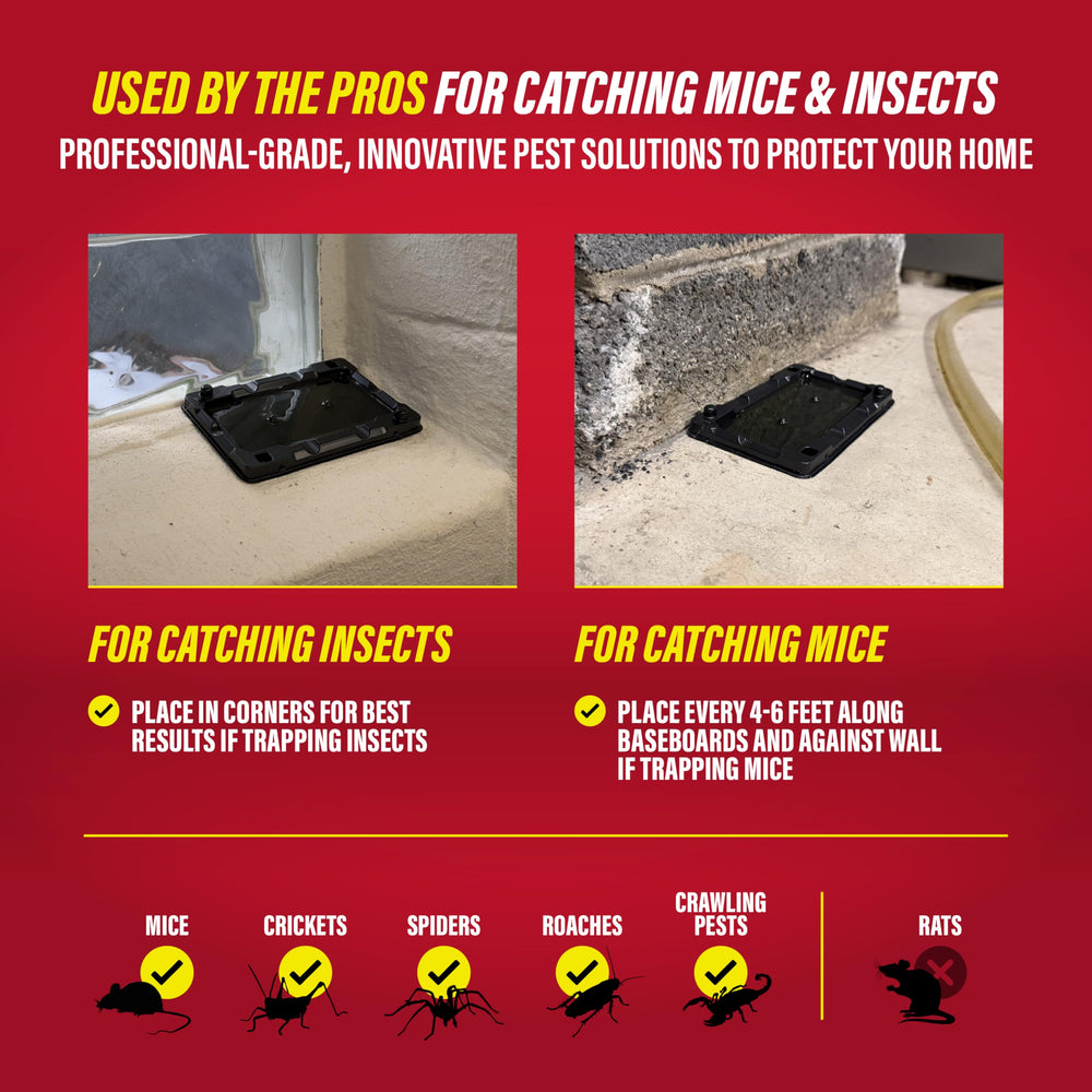 Catchmaster Mouse & Insect Glue Trap in bathroom setting