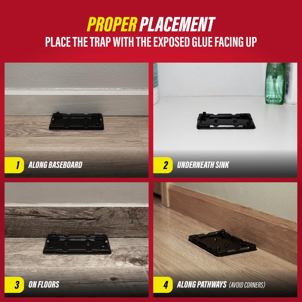 Catchmaster Mouse & Insect Glue Trap showing multiple traps in pack
