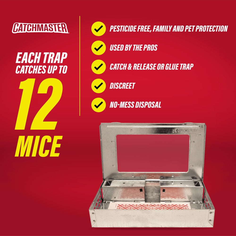 Catchmaster Multi-Catch Mouse Trap close-up of adhesive