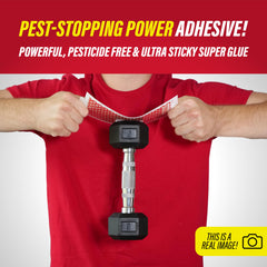 Catchmaster Multi-Catch Mouse Trap trap in use