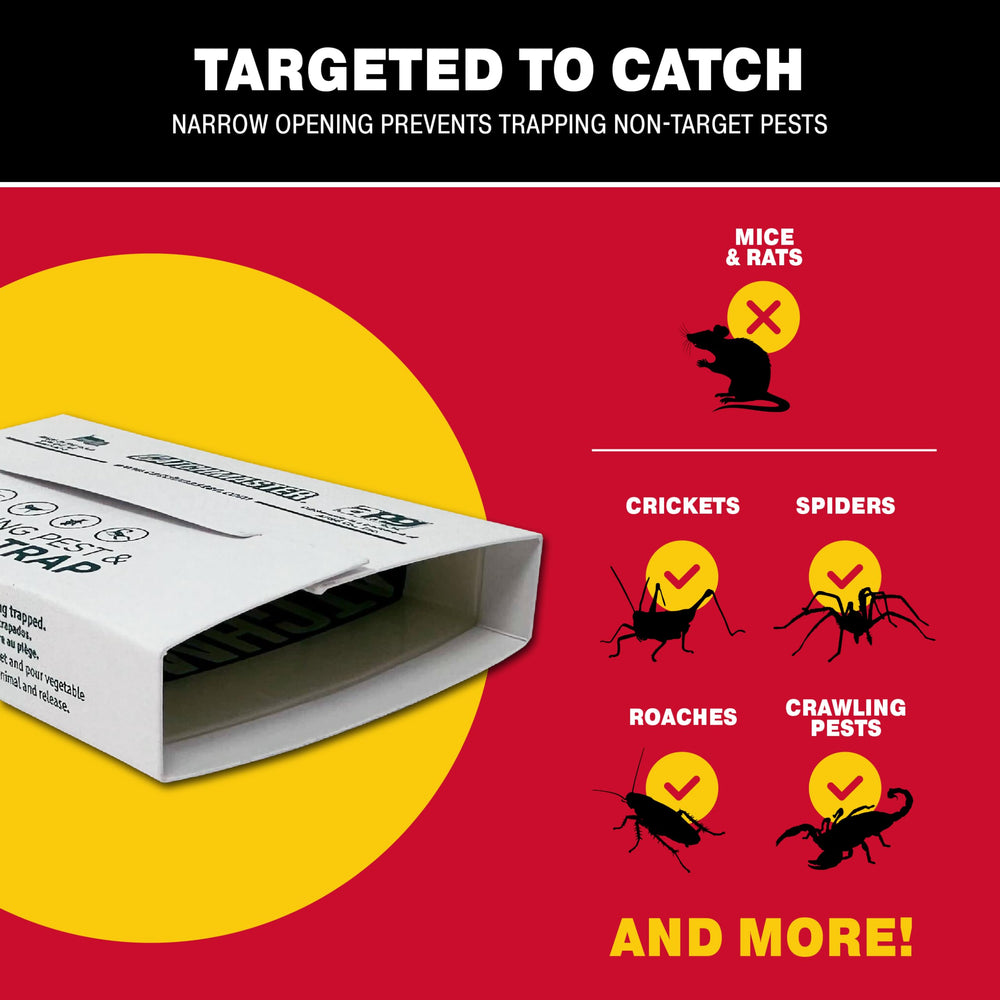 Catchmaster Spider & Insect Traps in a residential setting