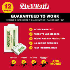 Catchmaster Spider & Insect Traps placed along a wall