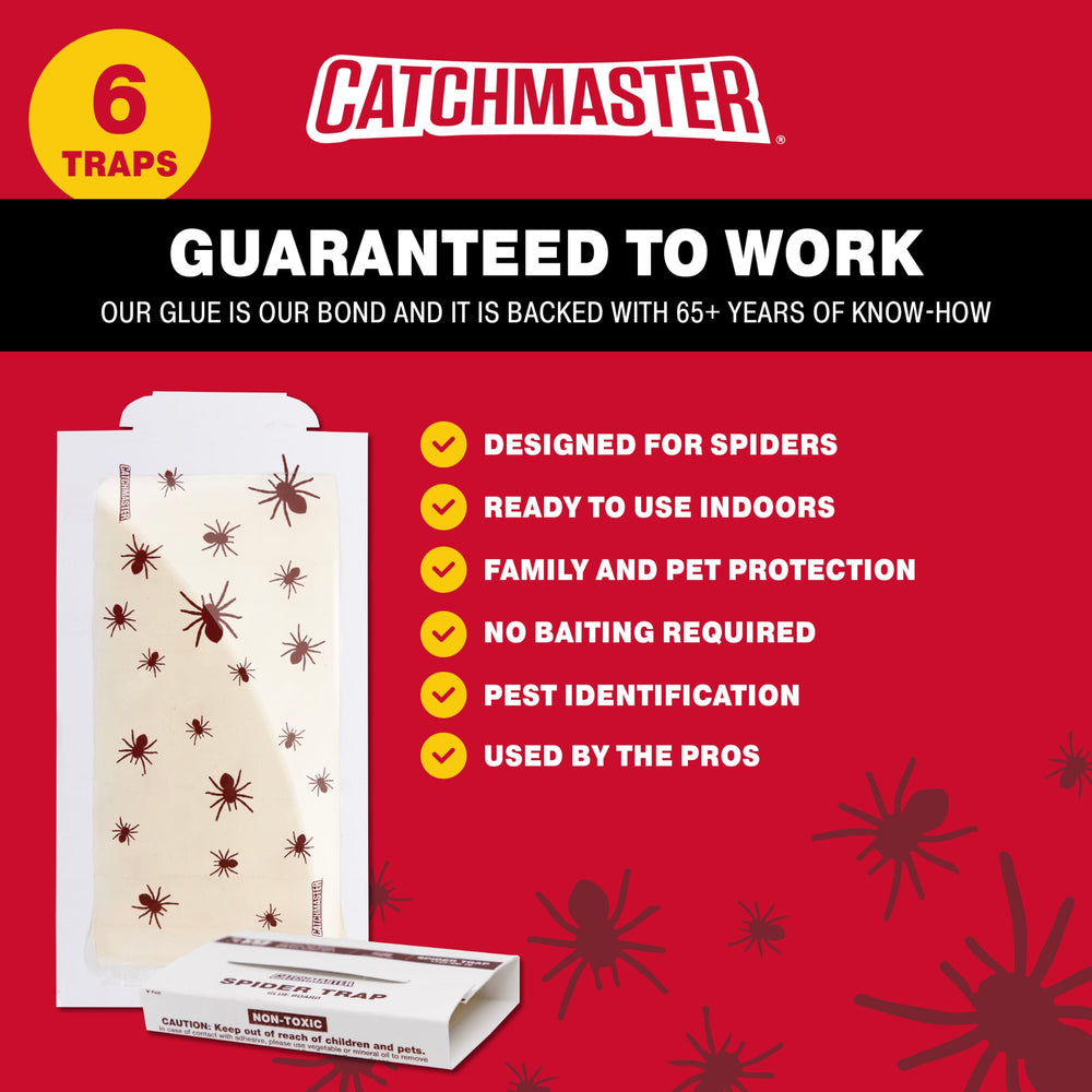 Catchmaster Spider Trap showing adhesive surface