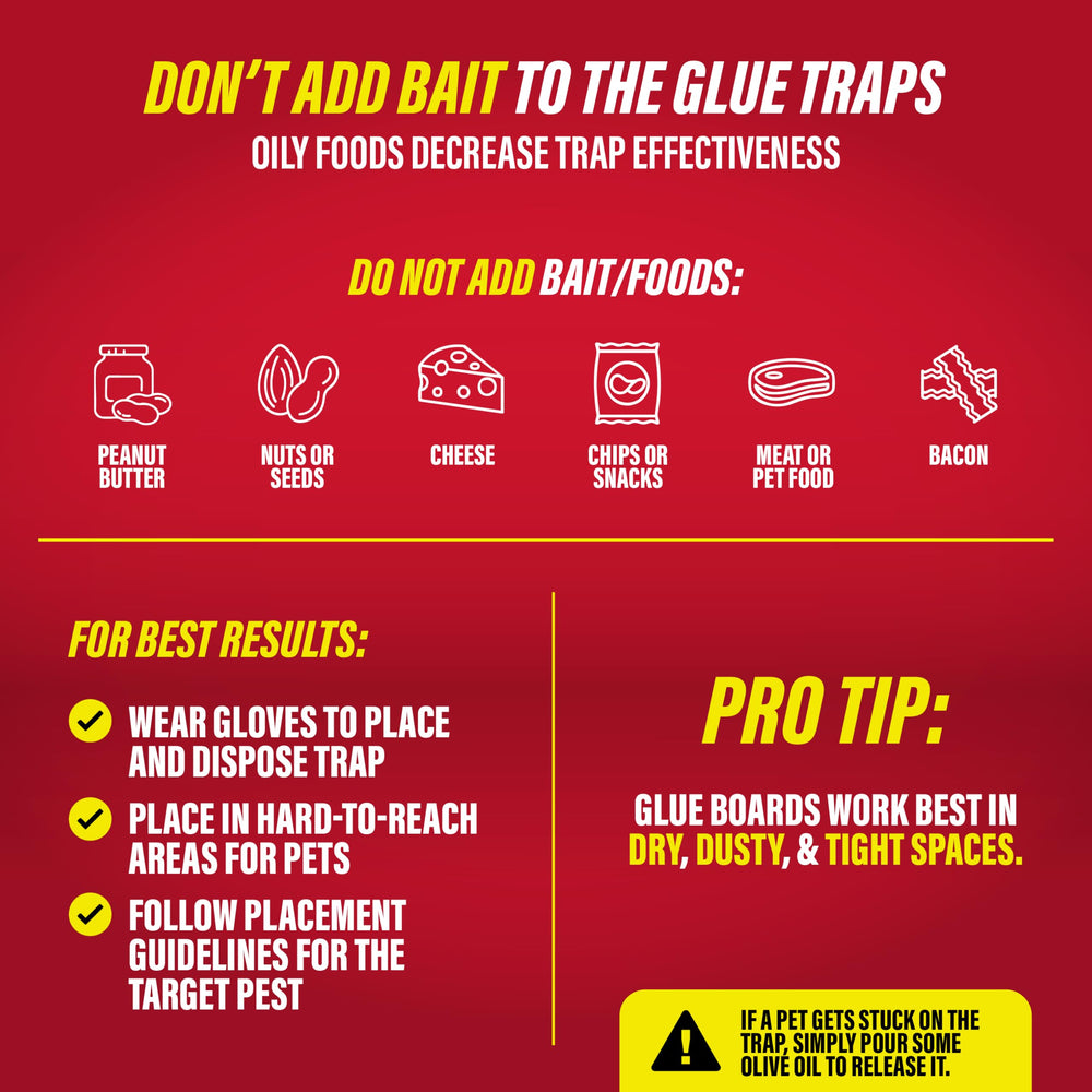 Catchmaster Super Glue Traps showing effective pest capture