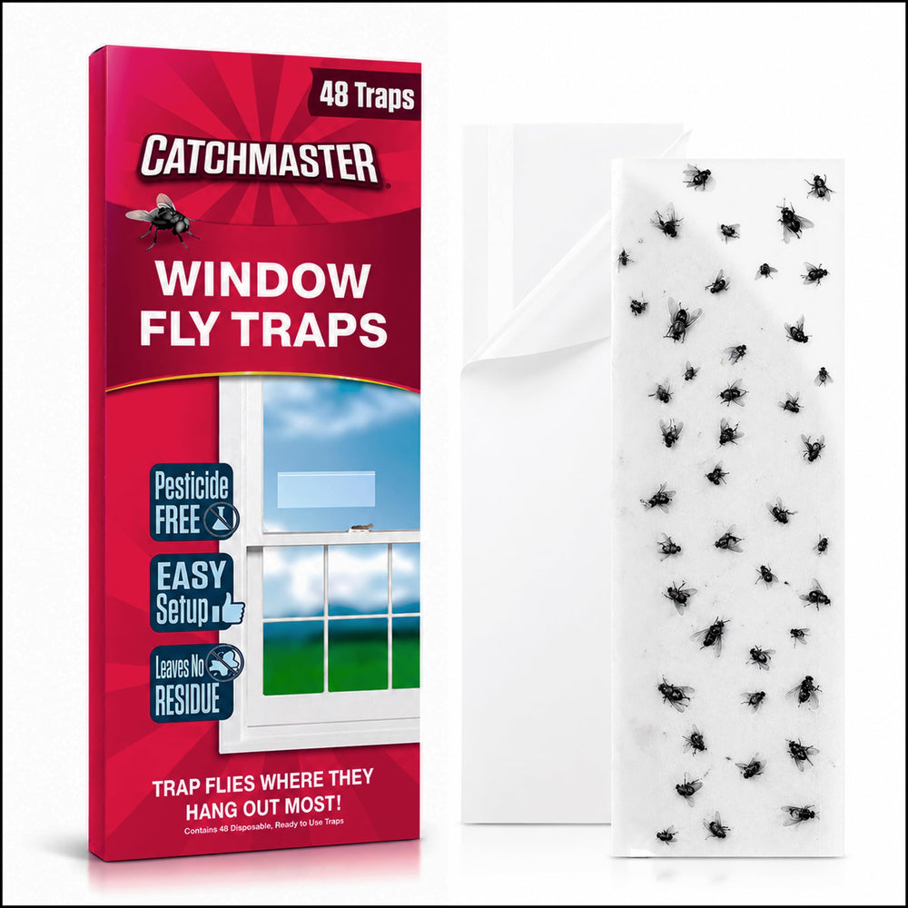 Catchmaster Window Fly Traps 48 pack front view