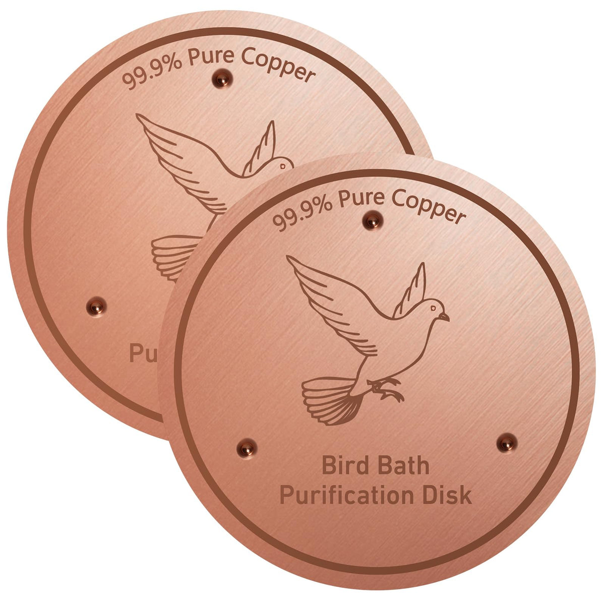 CDHSBJH Bird Bath Copper Disk front view