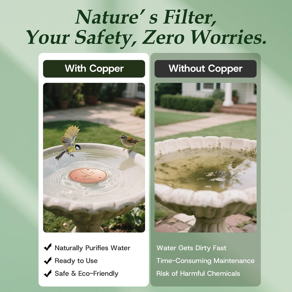 CDHSBJH Bird Bath Copper Disk package