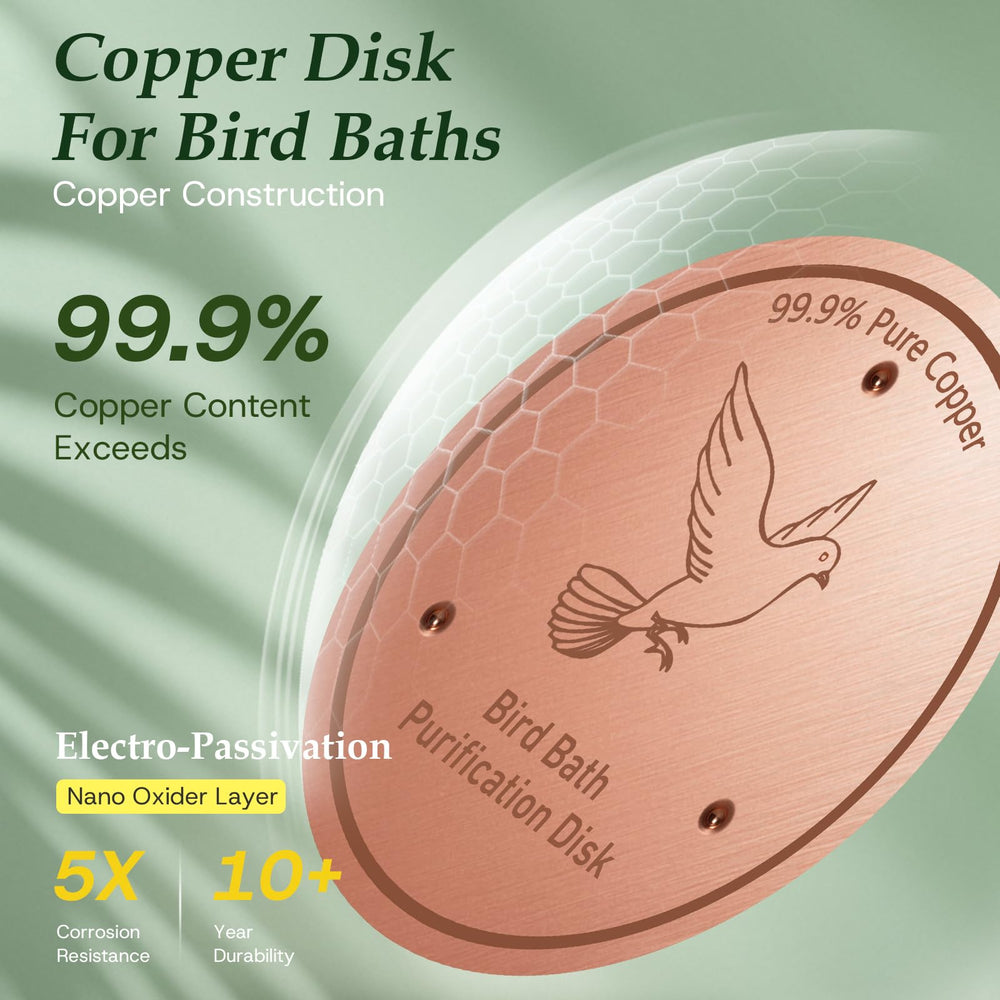 CDHSBJH Bird Bath Copper Disk side view