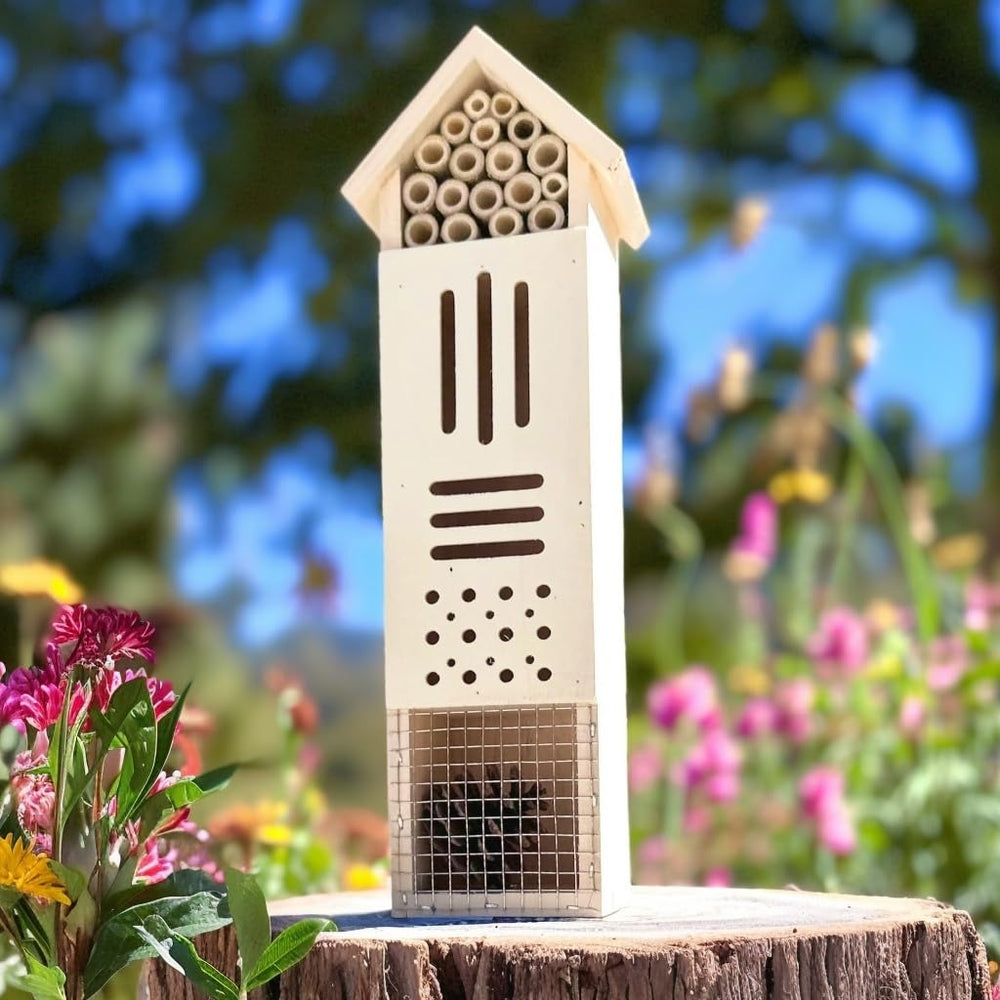 Cedar wood insect house with natural finish