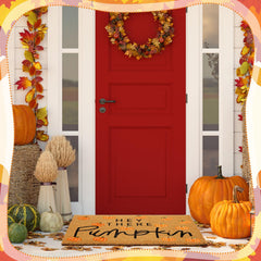 Ceenna Coir Doormat dimensions 16 x 28 inches