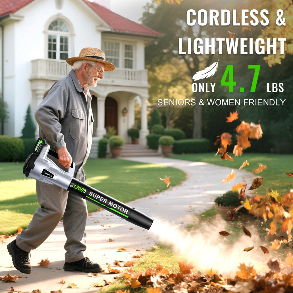 CEEPUY Leaf Blower packaging and included accessories
