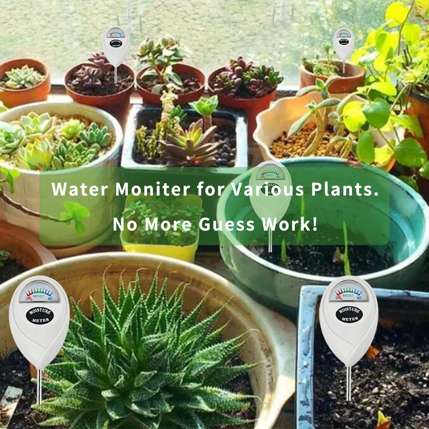Censinda soil moisture meter showing moisture level