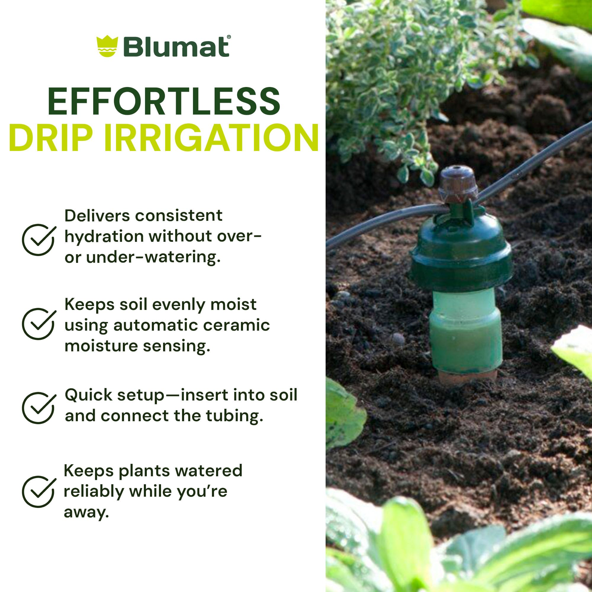 Ceramic Blumat carrot watering cones ready for use