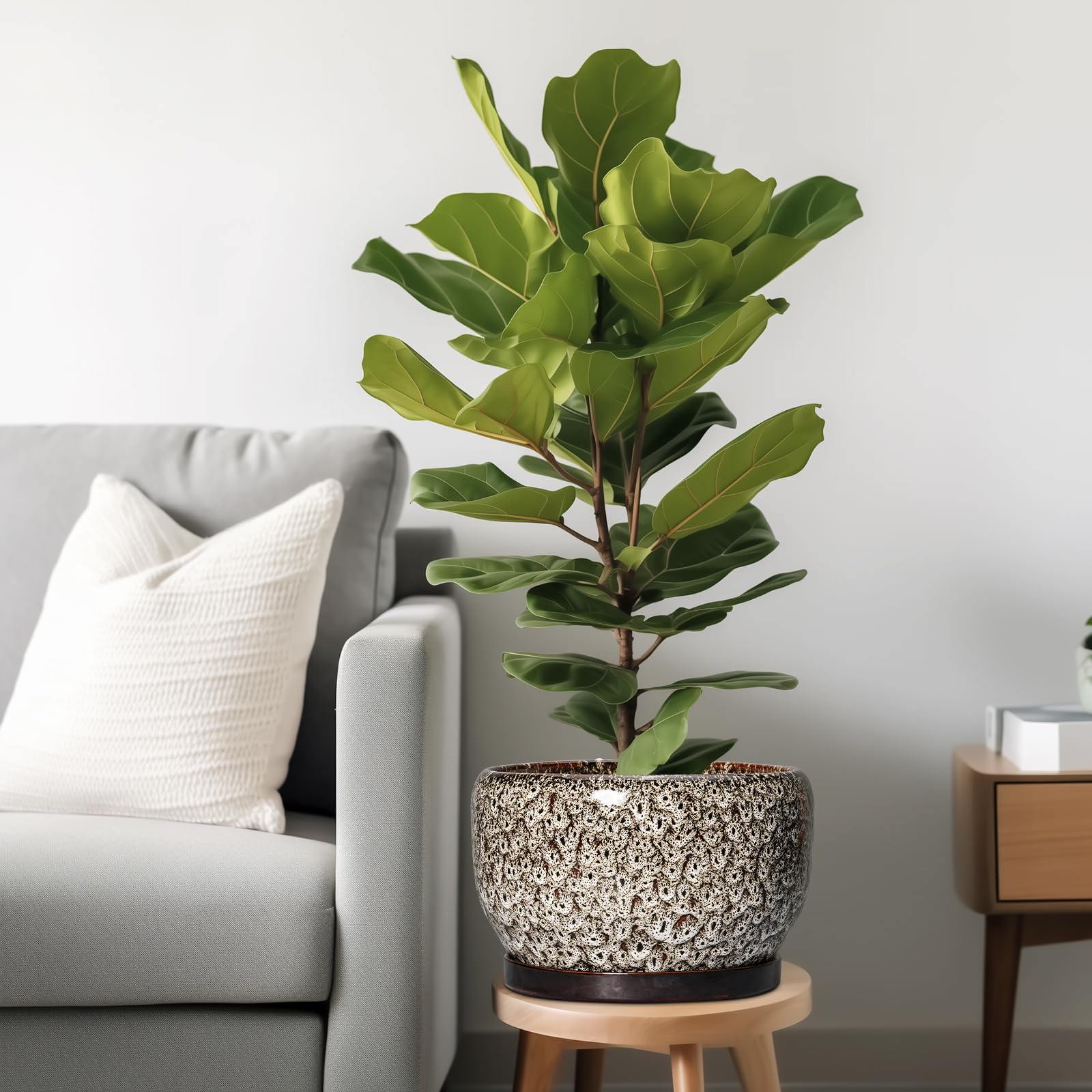 Ceramic plant pot with drainage hole and saucer