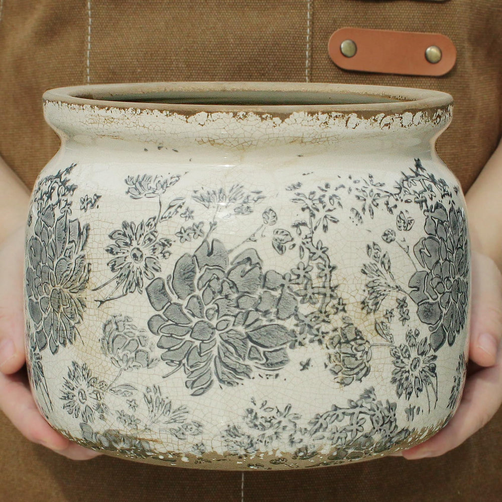Ceramic plant pot with ferns, showcasing its use in a home setting