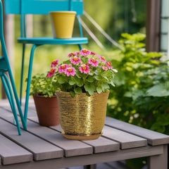 Ceramic plant pot with saucer and drainage net included