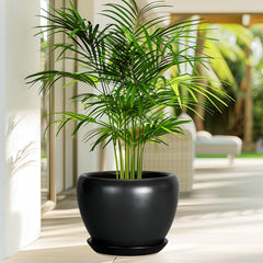 Ceramic planter with drainage hole and saucer