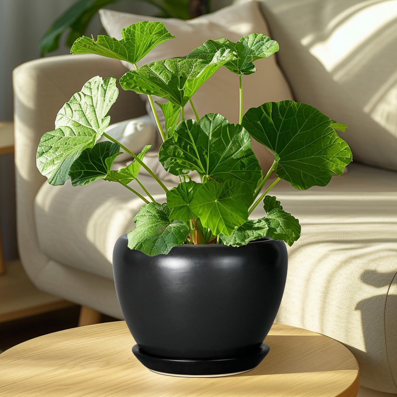 Ceramic planter with mesh pad and saucer included