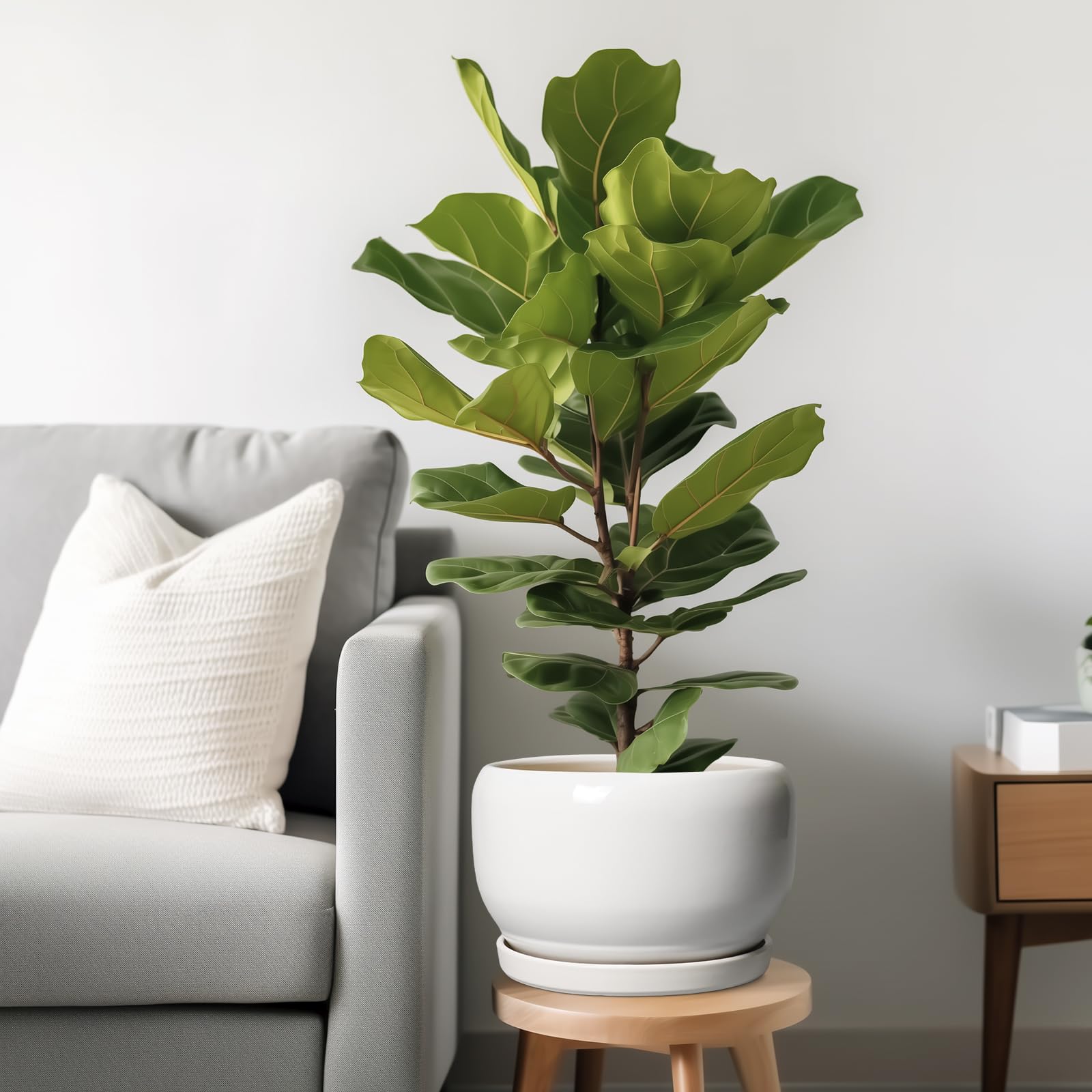 Ceramic saucer included with SQOWL planter, side view