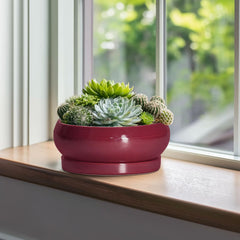 Ceramic saucer with EPFamily bonsai pot