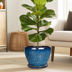 Ceramicfor 10 Inch Blue Planter Pot with drainage hole