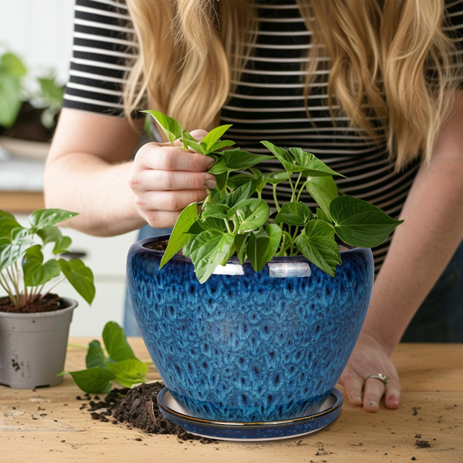 Ceramicfor 10 Inch Blue Planter Pot with plant inside