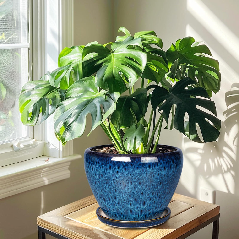 Ceramicfor 10 Inch Ceramic Planter Pot on patio