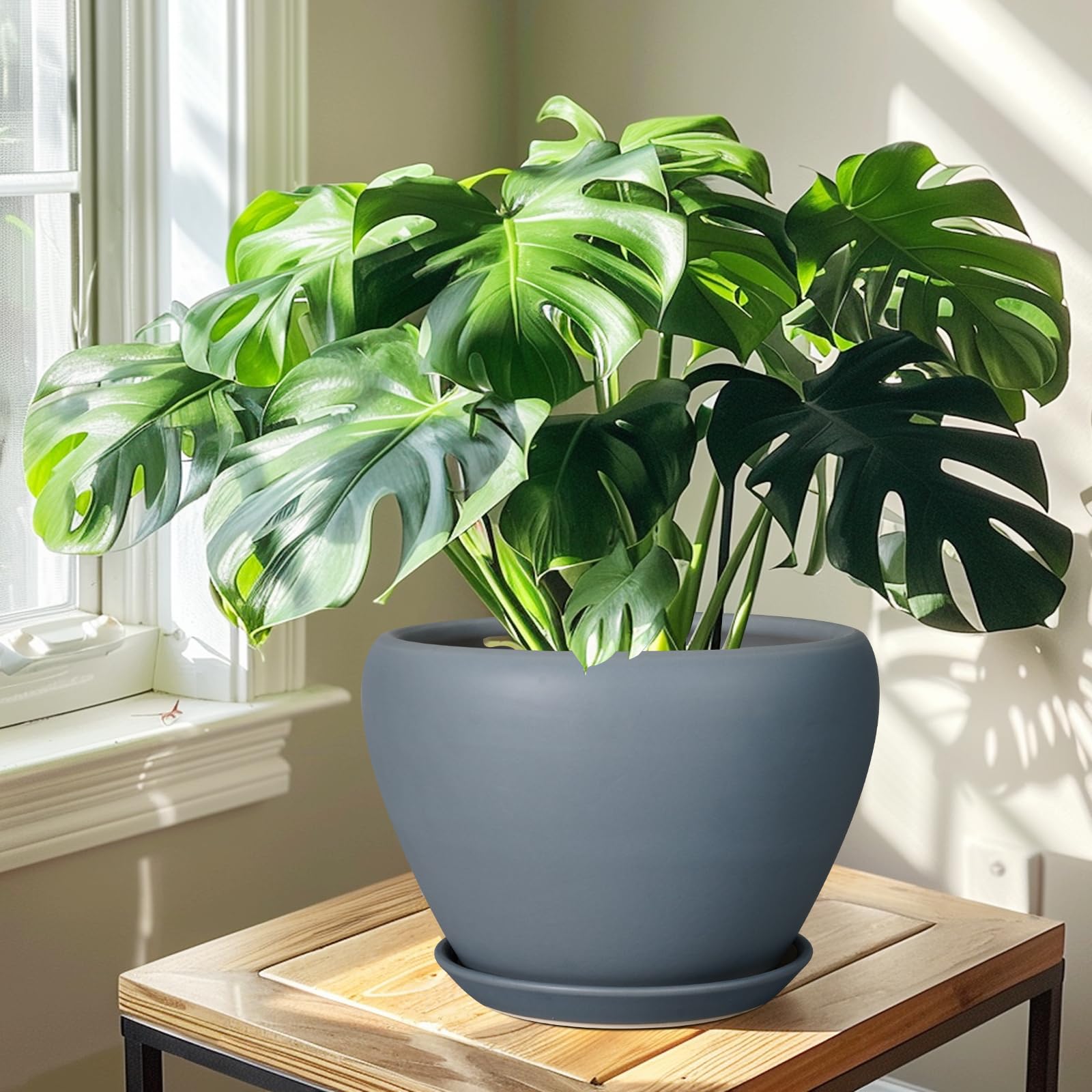 Ceramicfor 10 Inch Matte Gray Planter Pot with mesh pad